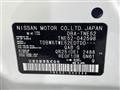 2015 Nissan Elgrand