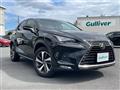 2018 Lexus NX
