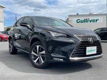 2018 Lexus NX