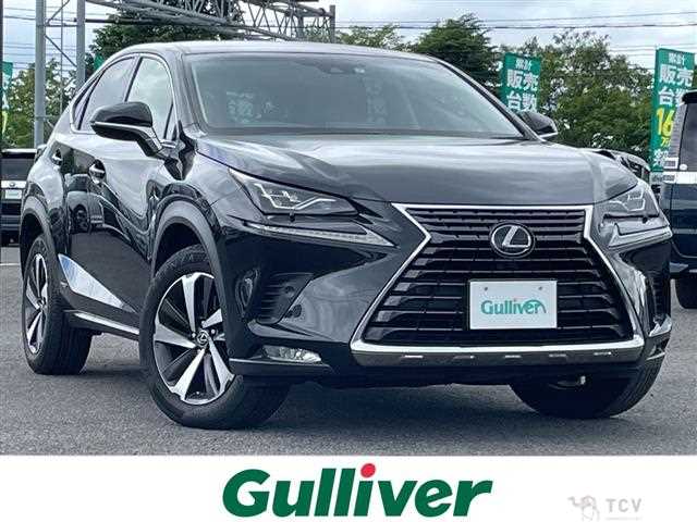 2018 Lexus NX