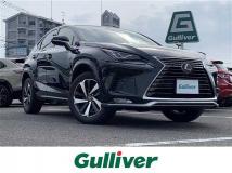 2021 Lexus NX