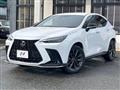 2021 Lexus NX