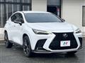 2021 Lexus NX