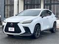 2021 Lexus NX