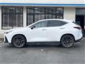 2021 Lexus NX