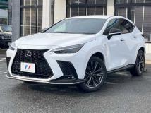 2021 Lexus NX