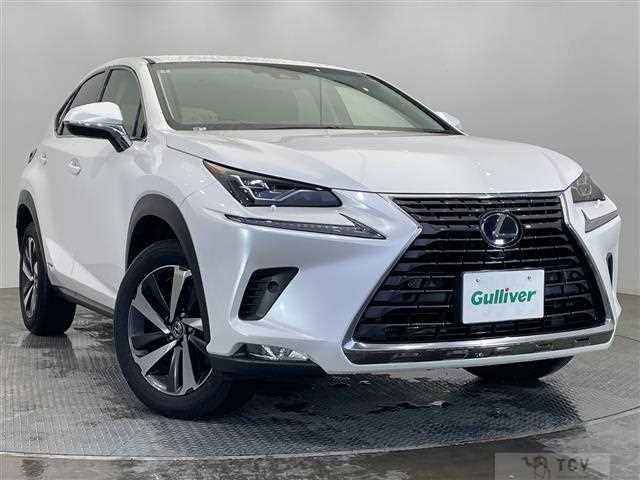 2018 Lexus NX