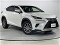 2019 Lexus NX