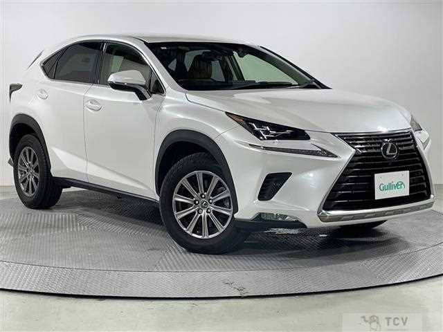 2019 Lexus NX