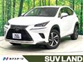 2018 Lexus NX