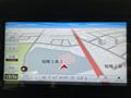 2019 Suzuki XBEE