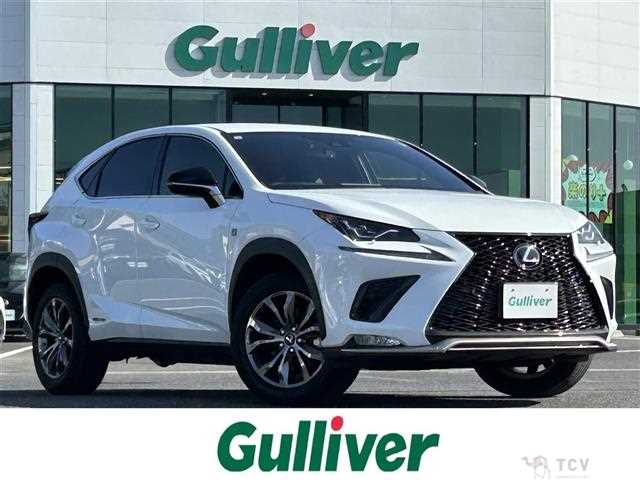 2019 Lexus NX