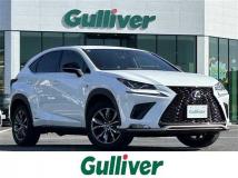 2019 Lexus NX