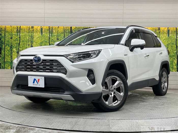 2019 Toyota RAV4