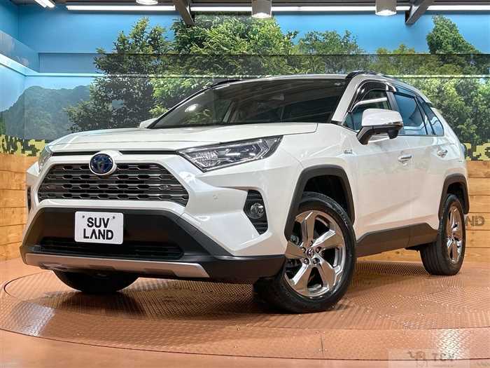 2019 Toyota RAV4