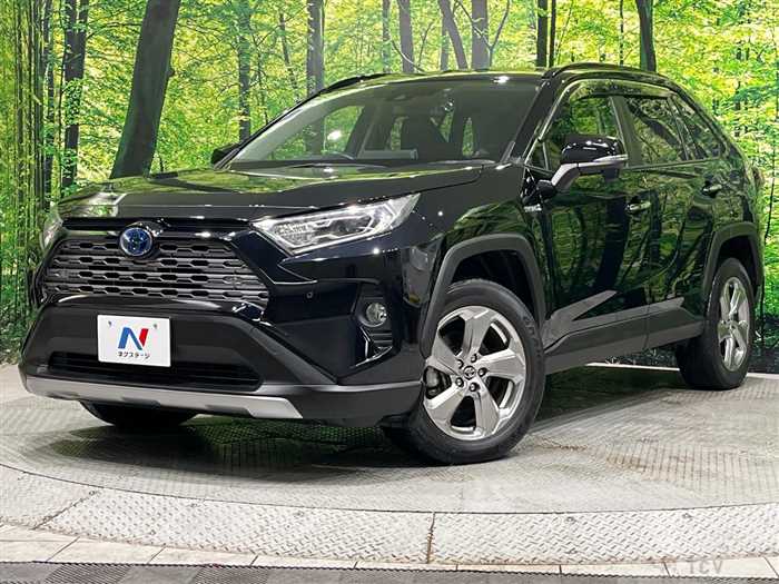 2019 Toyota RAV4