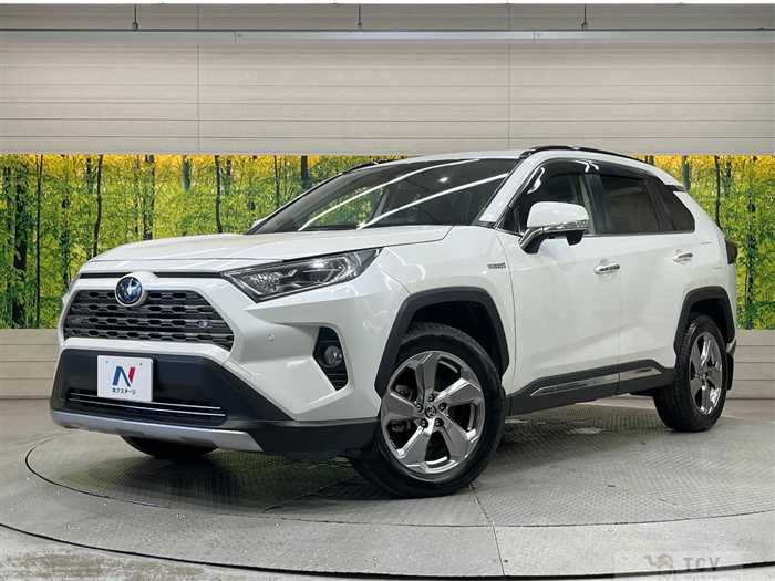 2019 Toyota RAV4
