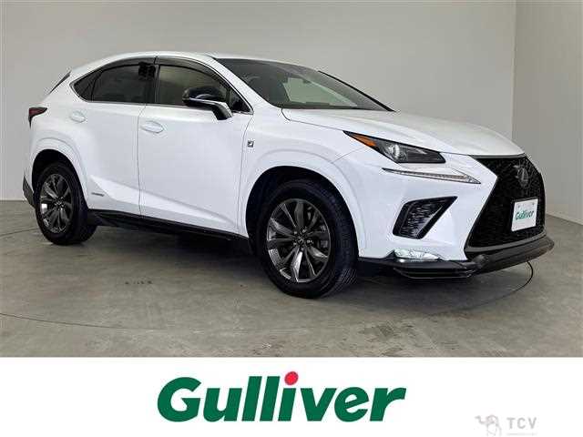 2018 Lexus NX