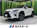 2018 Lexus NX