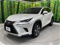 2018 Lexus NX