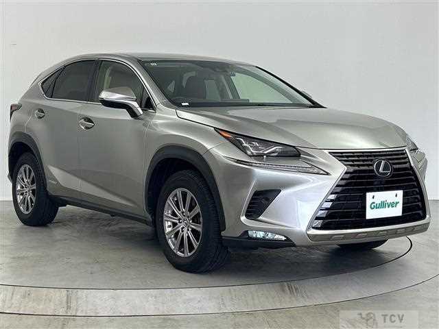 2019 Lexus NX