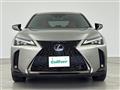 2019 Lexus UX