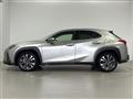 2019 Lexus UX