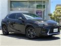 2018 Lexus UX