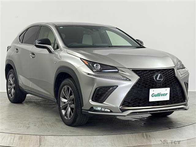 2020 Lexus NX