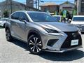 2019 Lexus NX