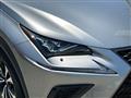 2019 Lexus NX
