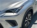 2019 Lexus NX