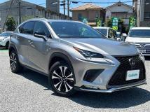 2019 Lexus NX