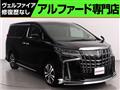 2019 Toyota Alphard G