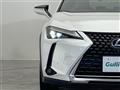 2021 Lexus UX