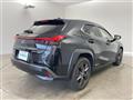 2019 Lexus UX