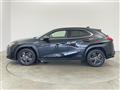 2019 Lexus UX