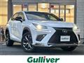 2020 Lexus NX