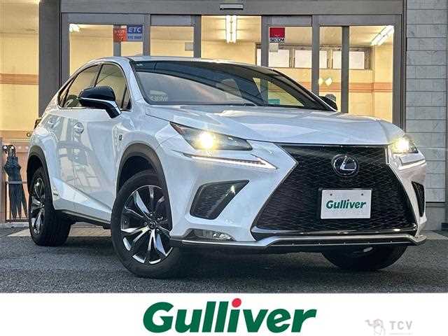 2020 Lexus NX