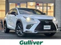 2020 Lexus NX