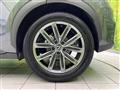 2024 Lexus Other