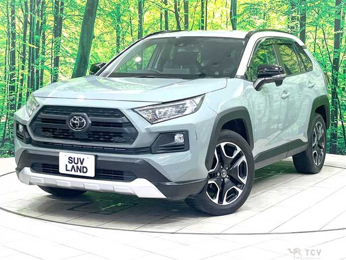 2019 Toyota RAV4