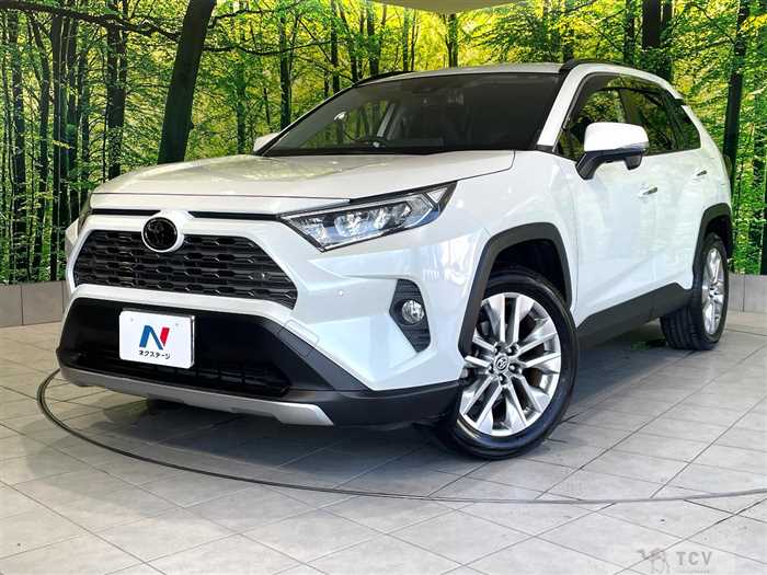 2020 Toyota RAV4