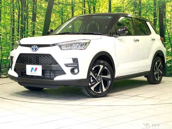 2026 Toyota Raize