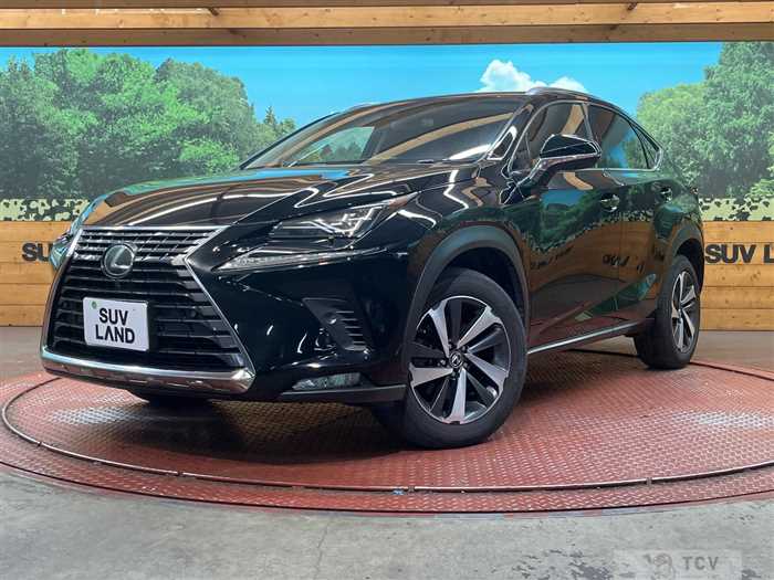 2017 Lexus NX