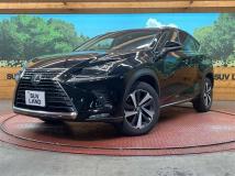 2017 Lexus NX