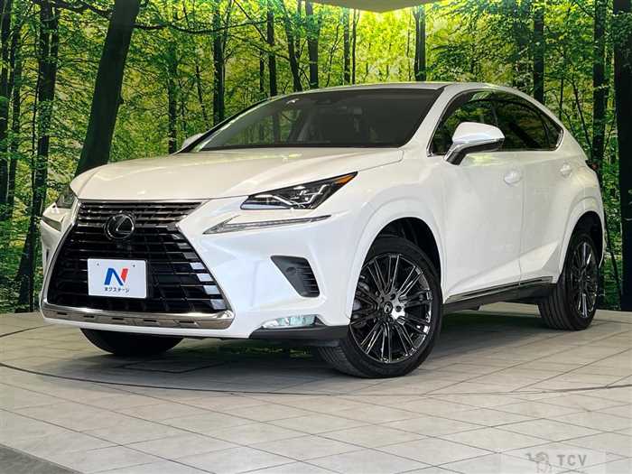 2018 Lexus NX