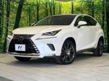 2018 Lexus NX