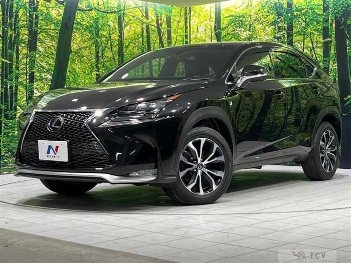 2014 Lexus NX
