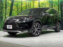 2014 Lexus NX